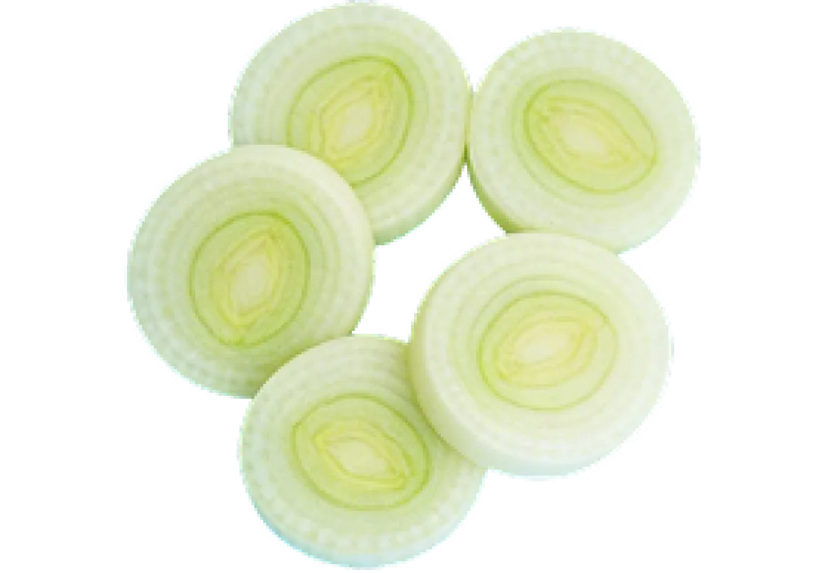 Celery