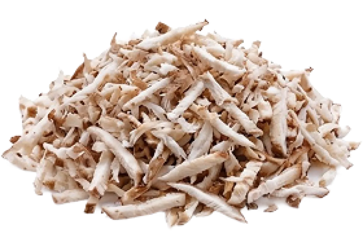 Shitake