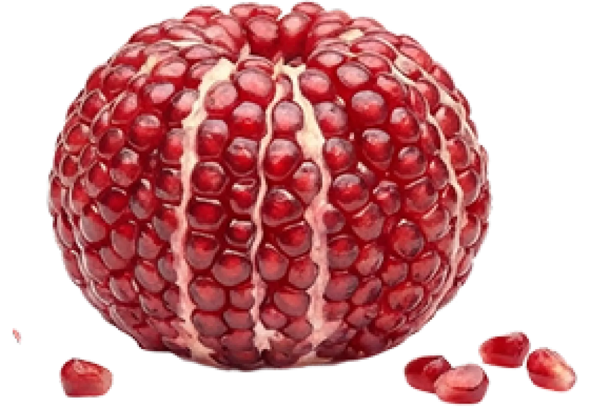 Pomegranate