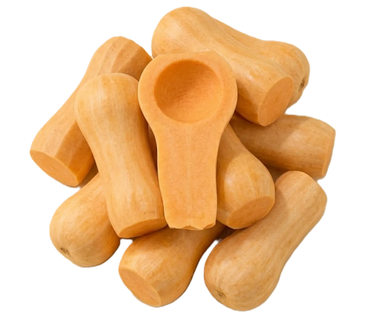 Butternut Squash