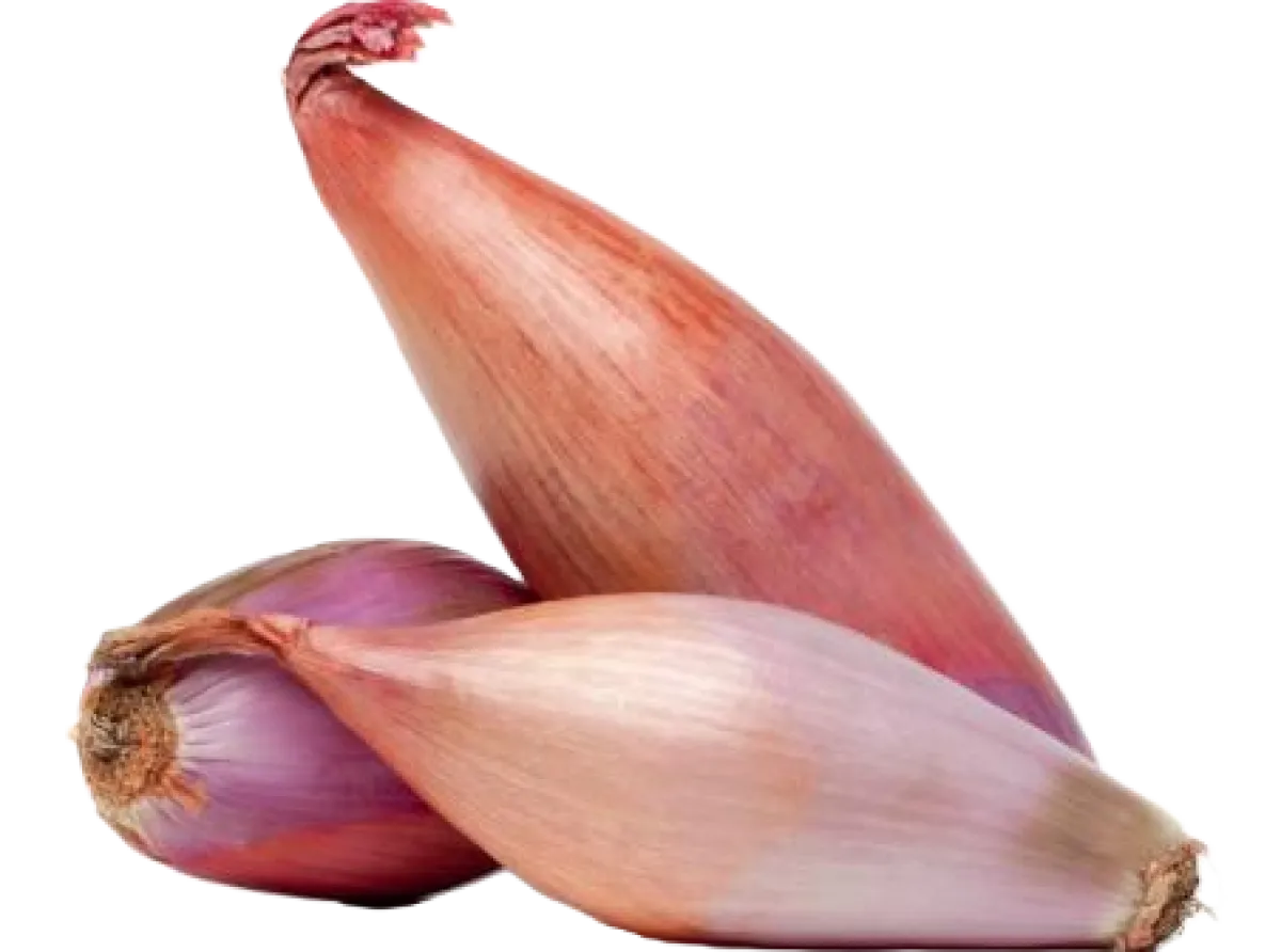 Banana Shallots