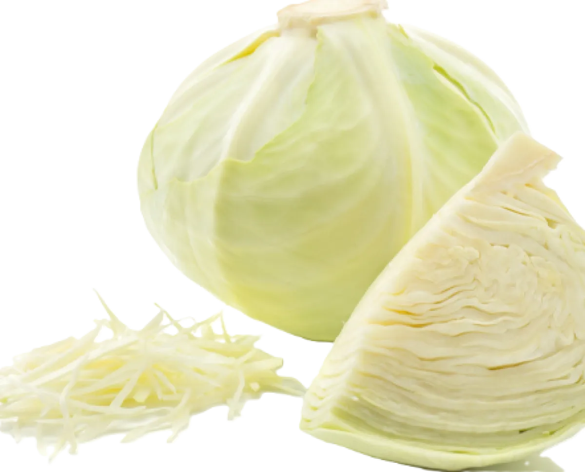 White Cabbage