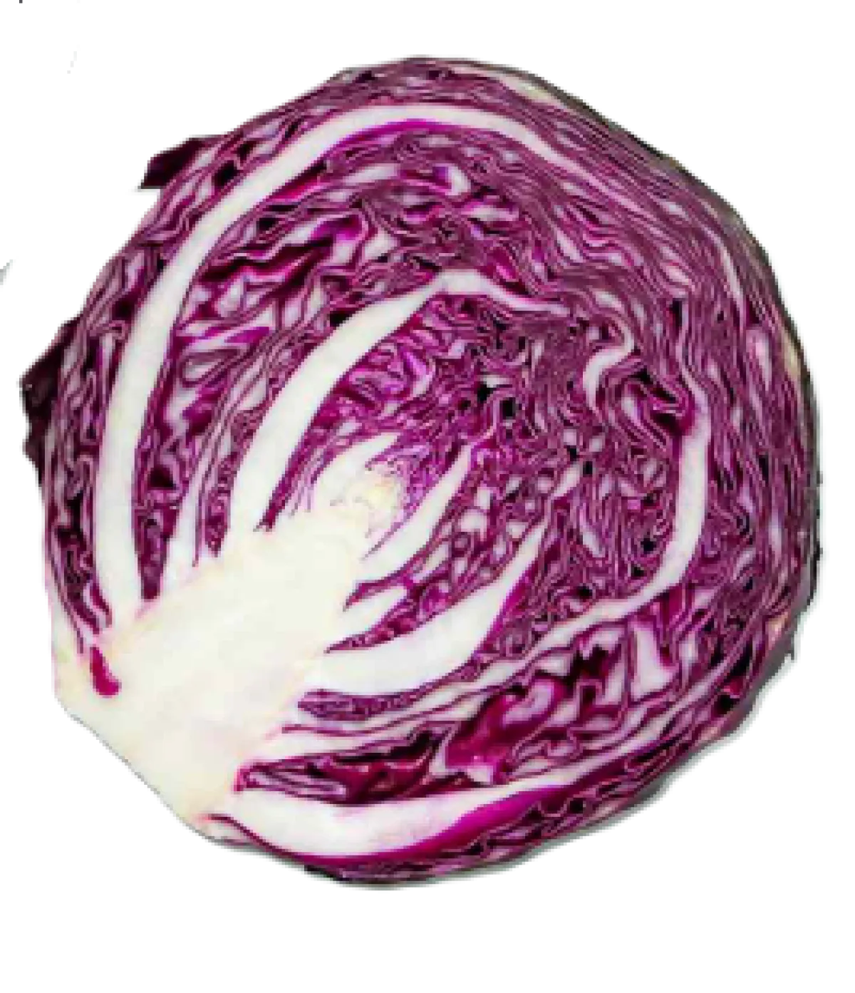 Red Cabbage