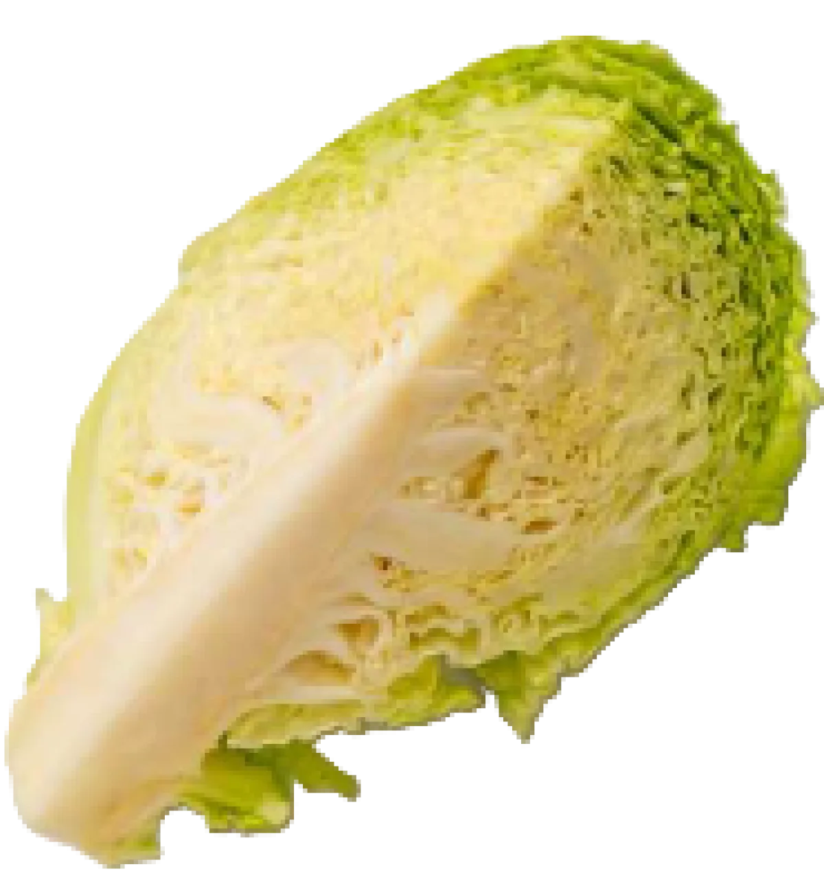 Savoy Cabbage