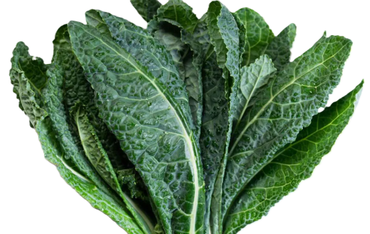 Kale