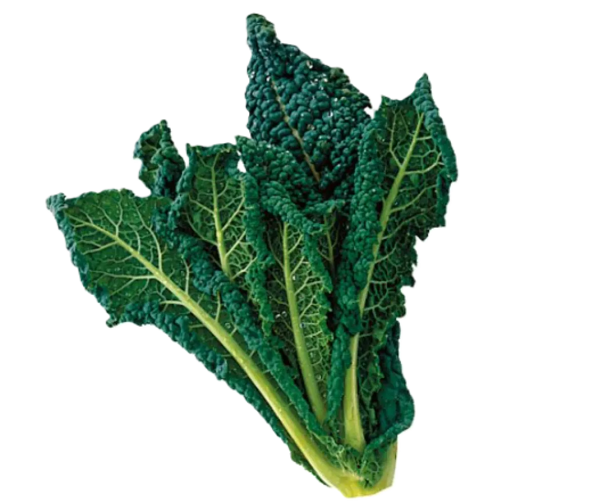 Cavolo Nero