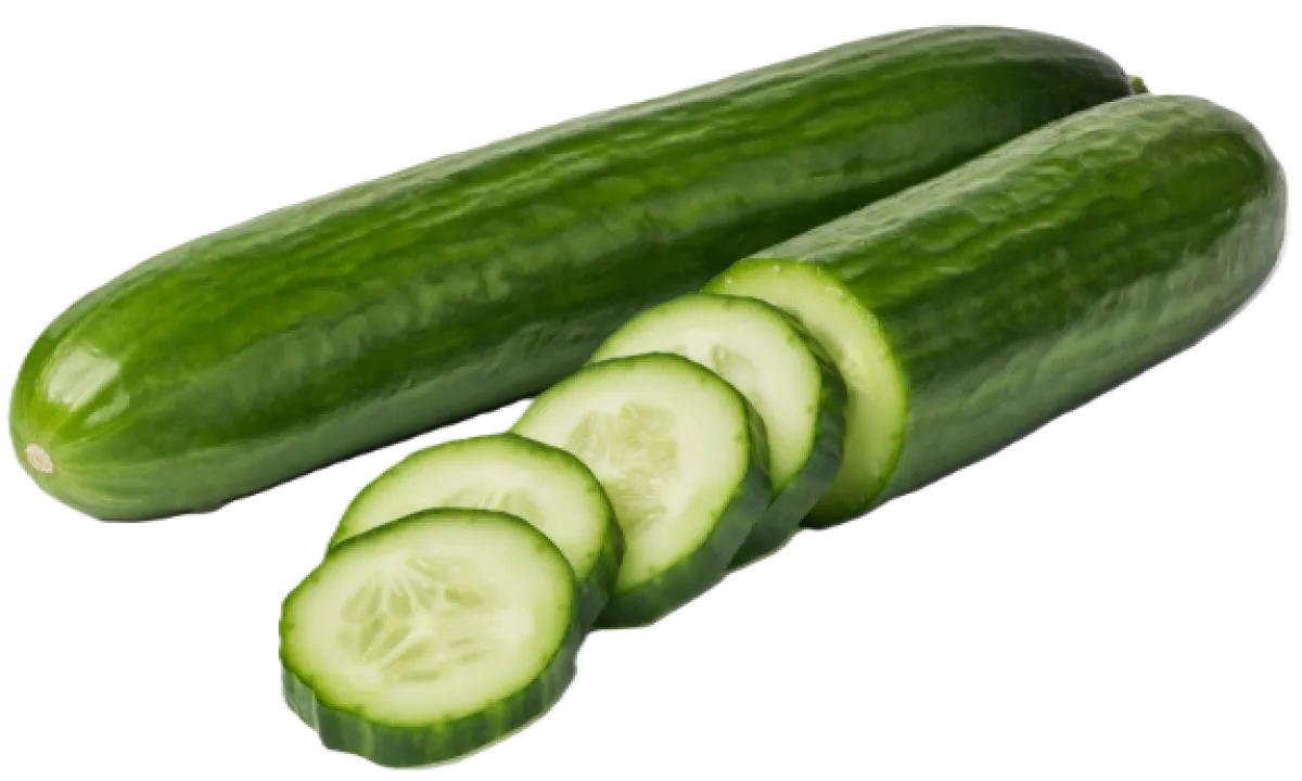 Cucumber