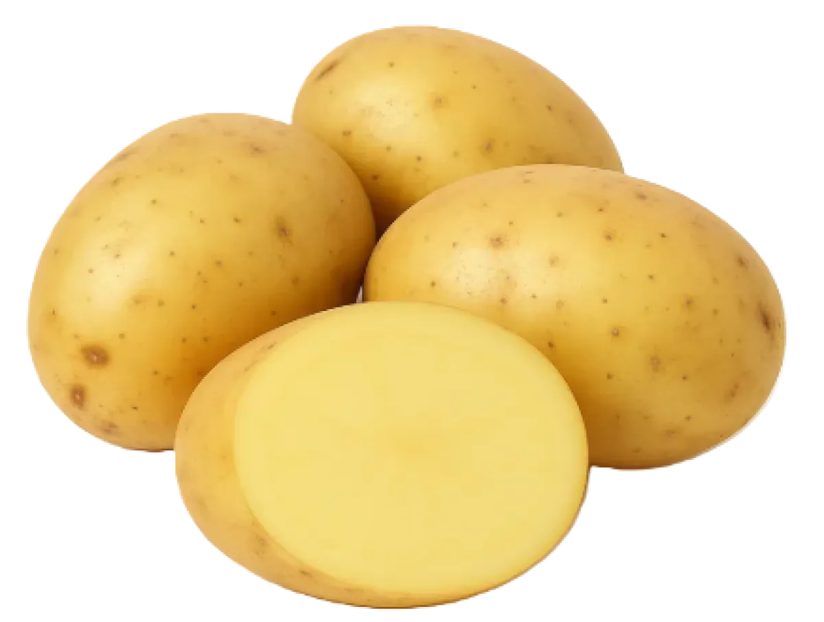 Potato