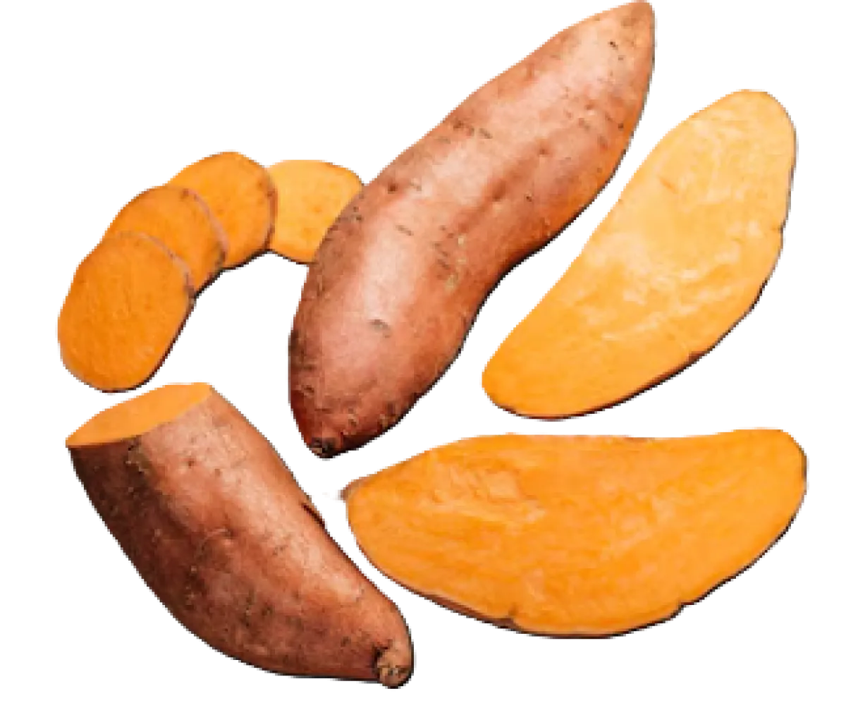 Sweet Potato