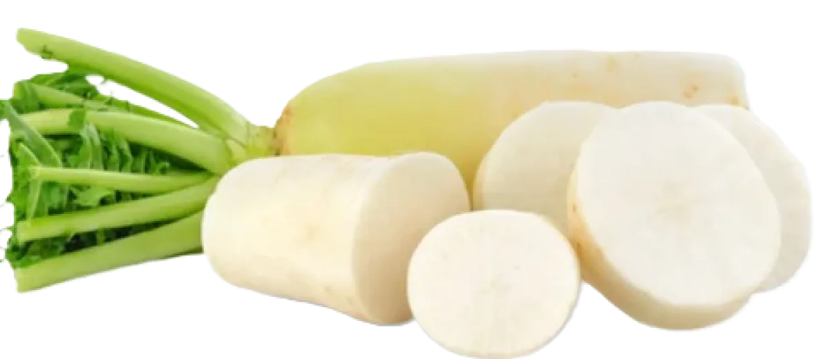 Mooli