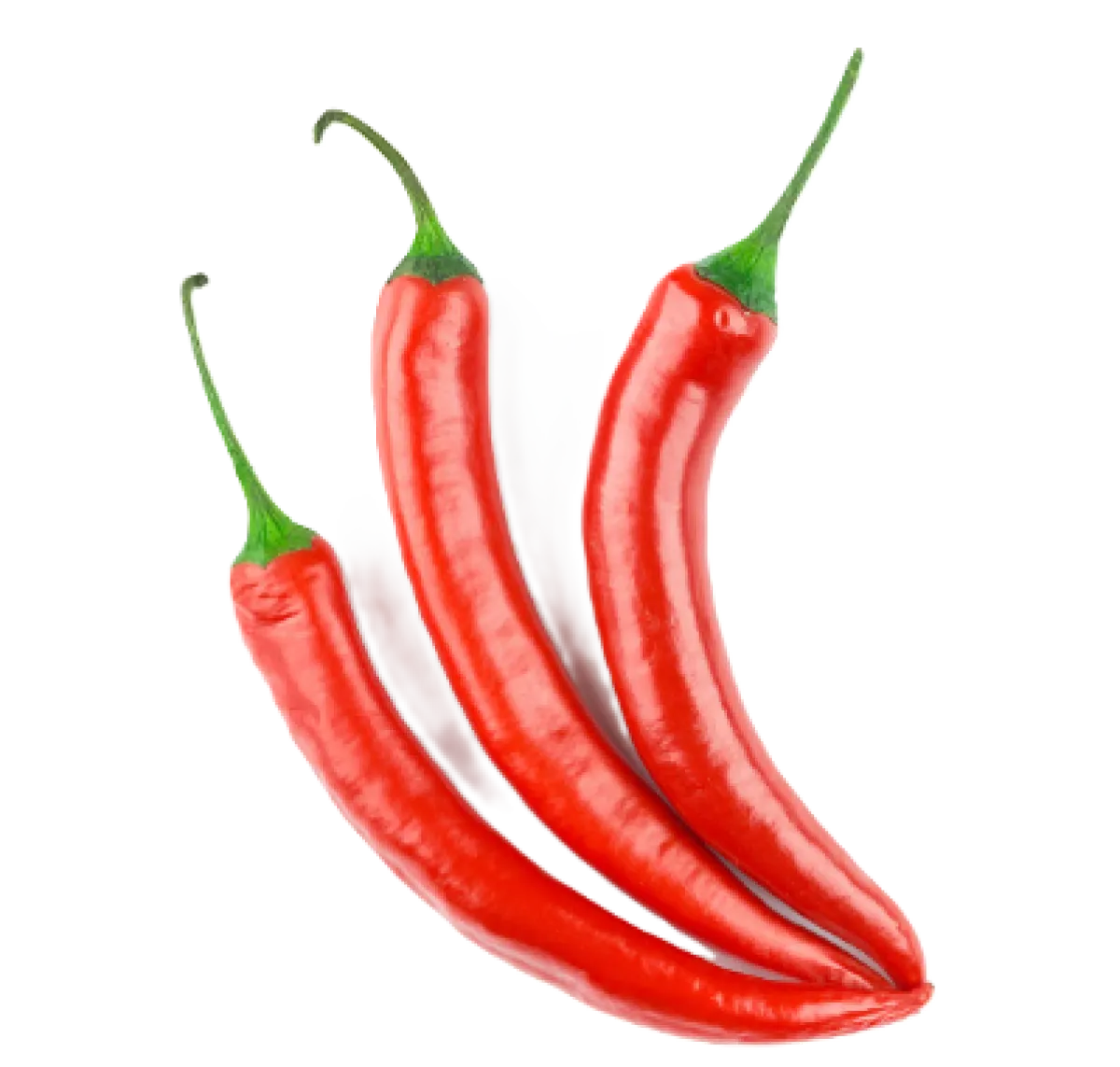 Red Chilli