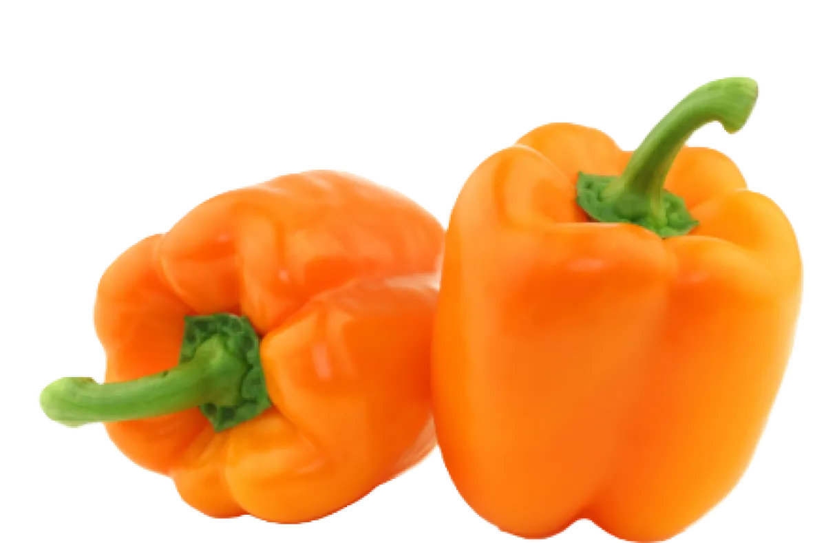 Orange Pepper
