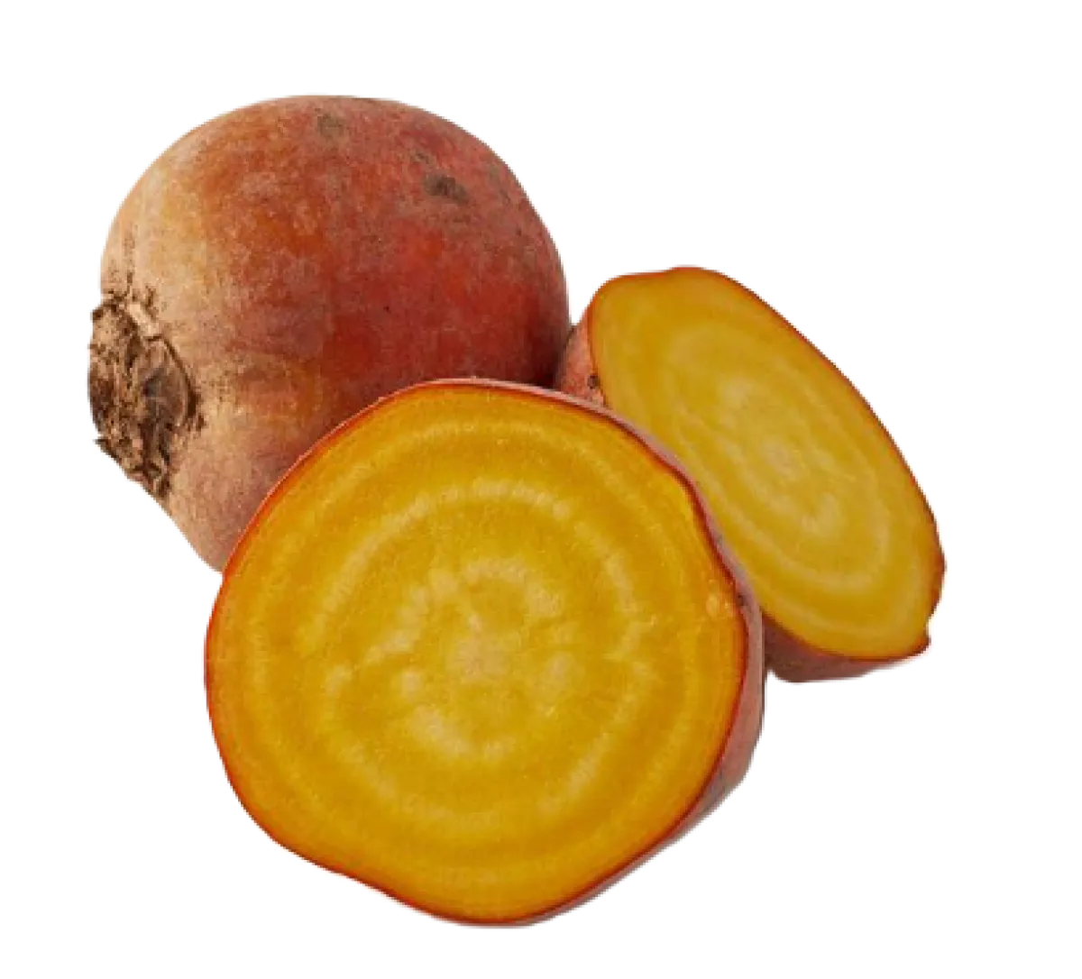 Golden Beetroot