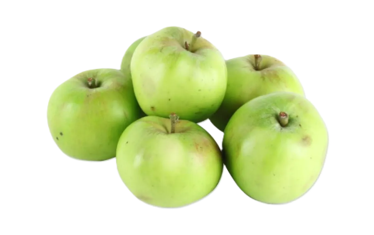 Bramley