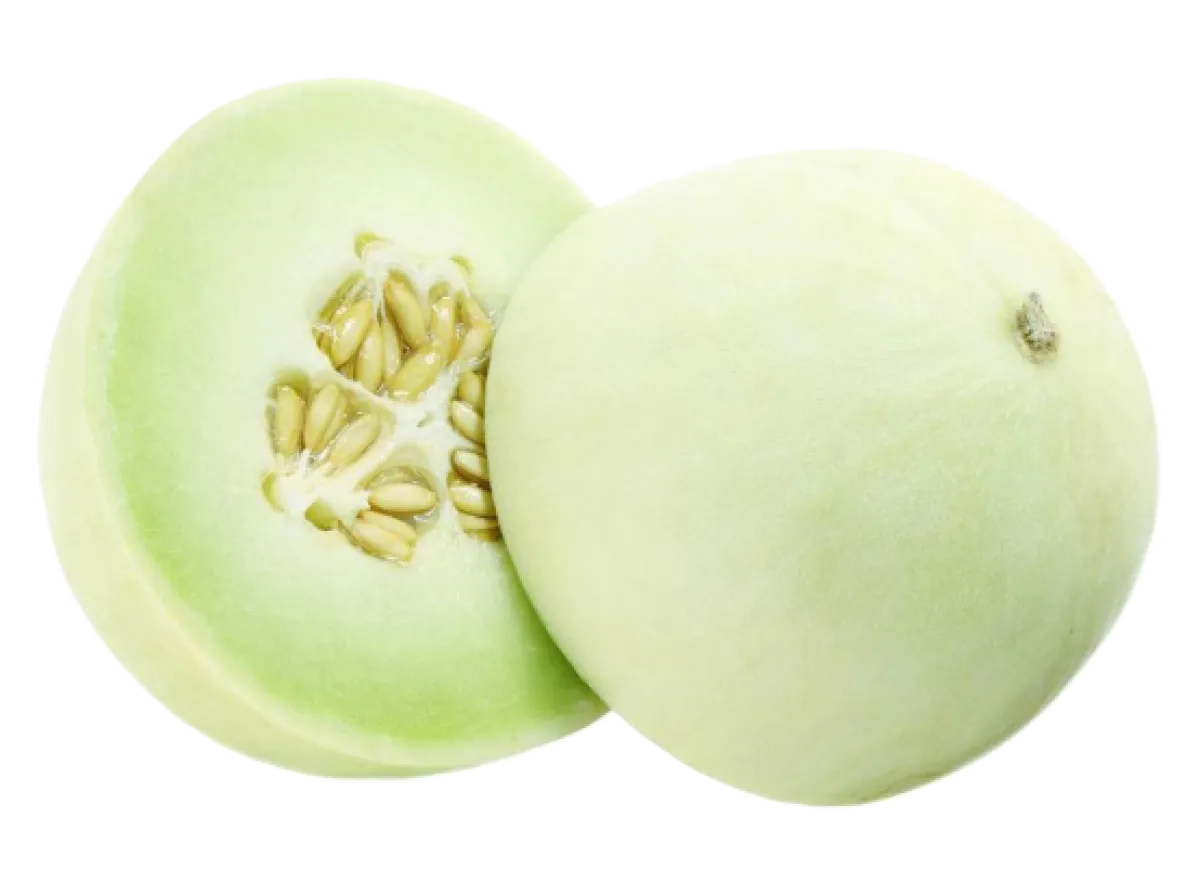 Honeydew