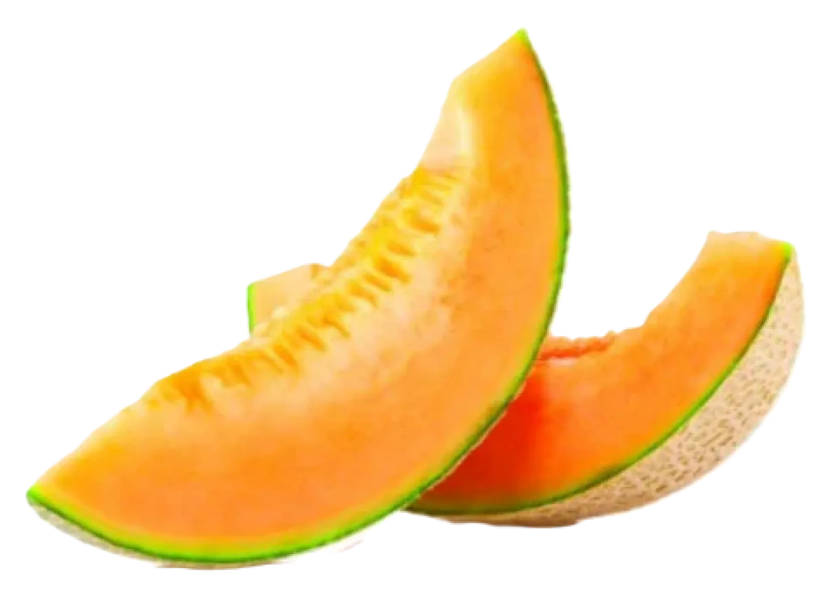 Cantaloupe