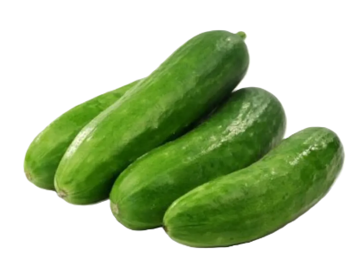 Mini Cucumber