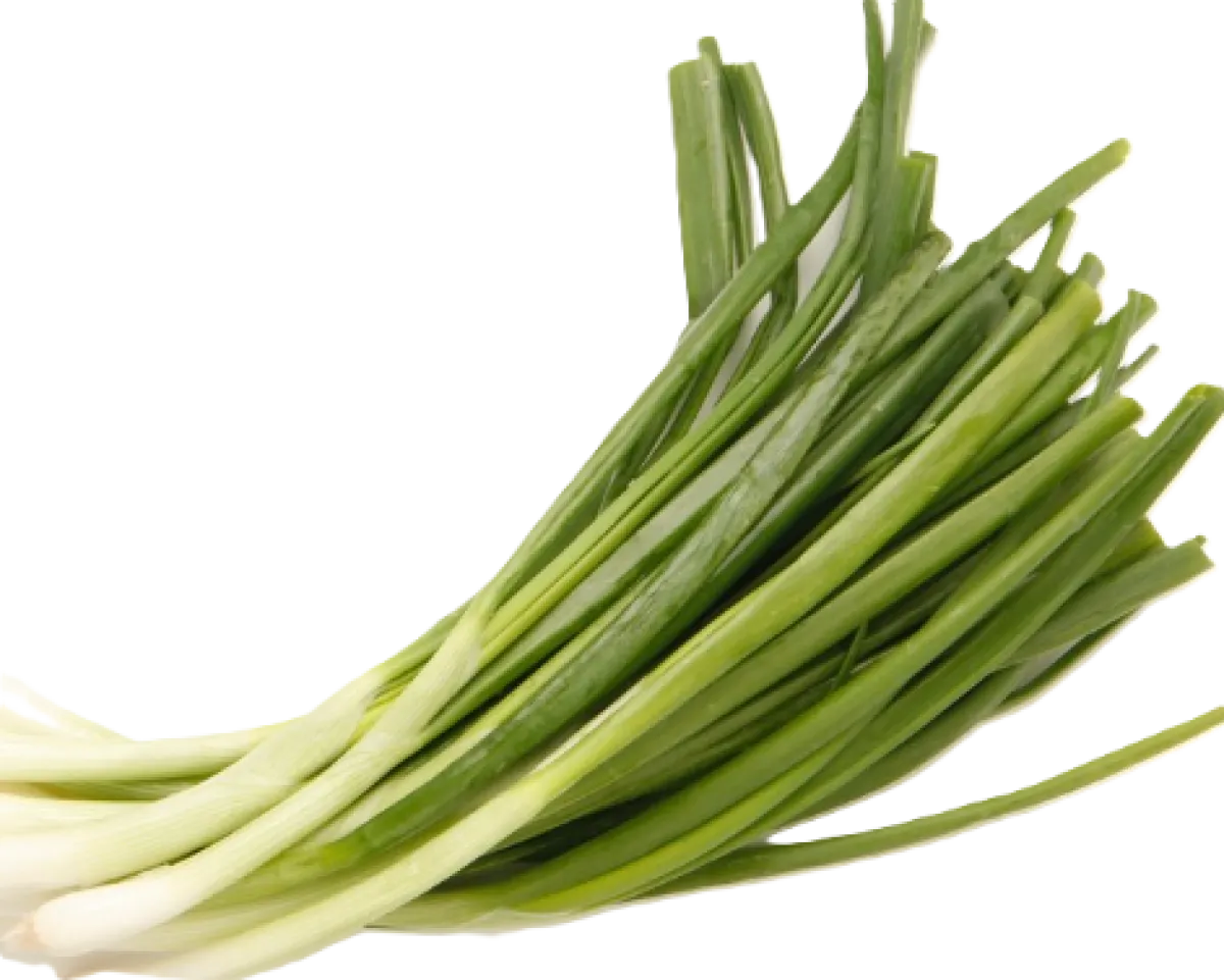 Spring Onions
