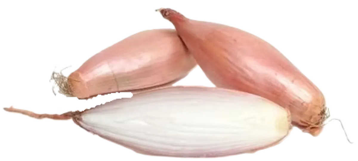 Banana Shallots