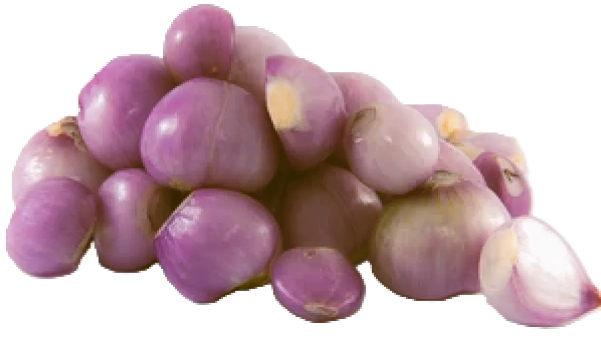 Round Shallots