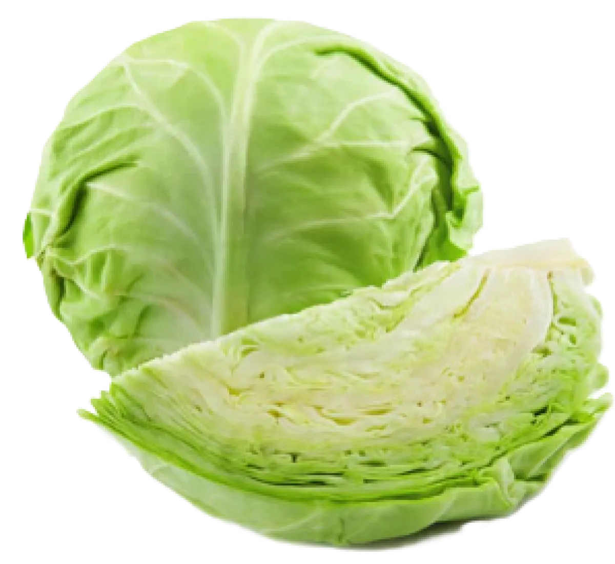 Green Cabbage