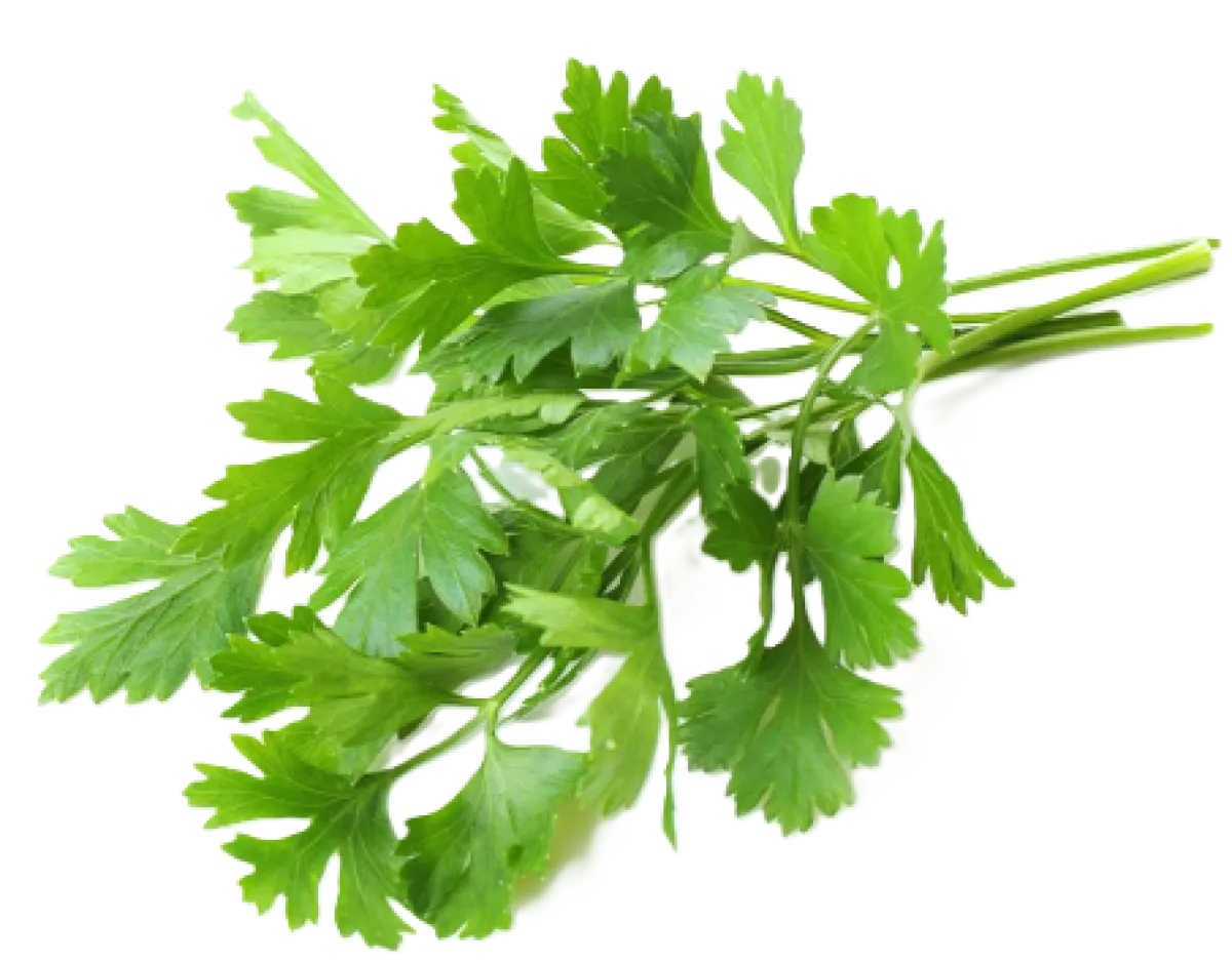 Flat parsley