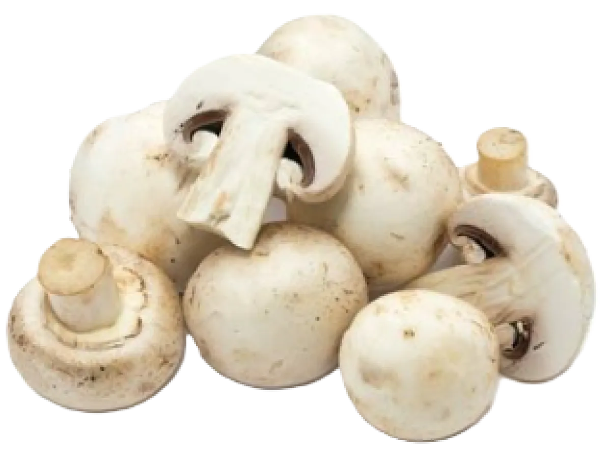 Button Mushrooms