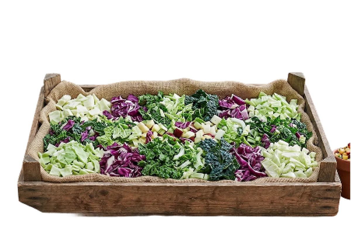 Brassica