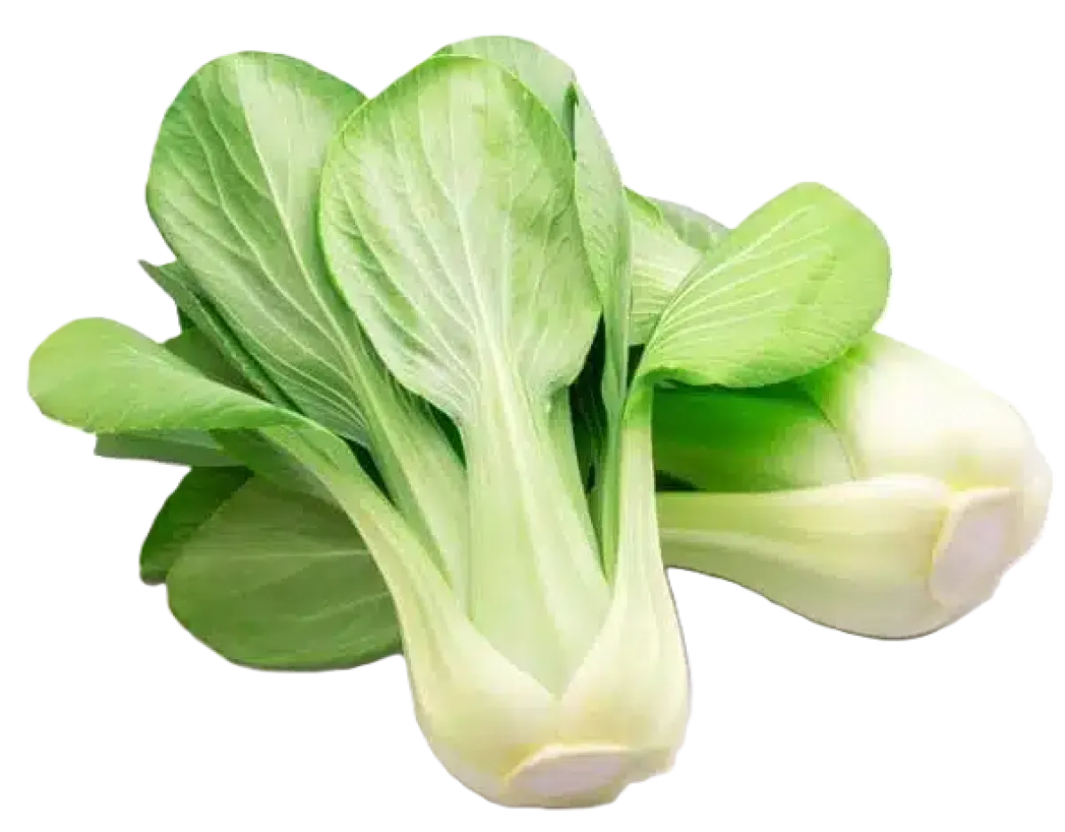 Pak Choi