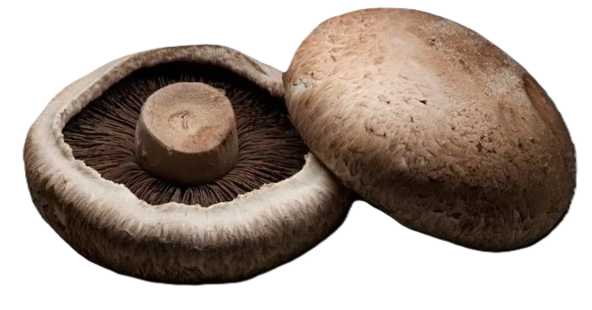 Portobello Mushrooms