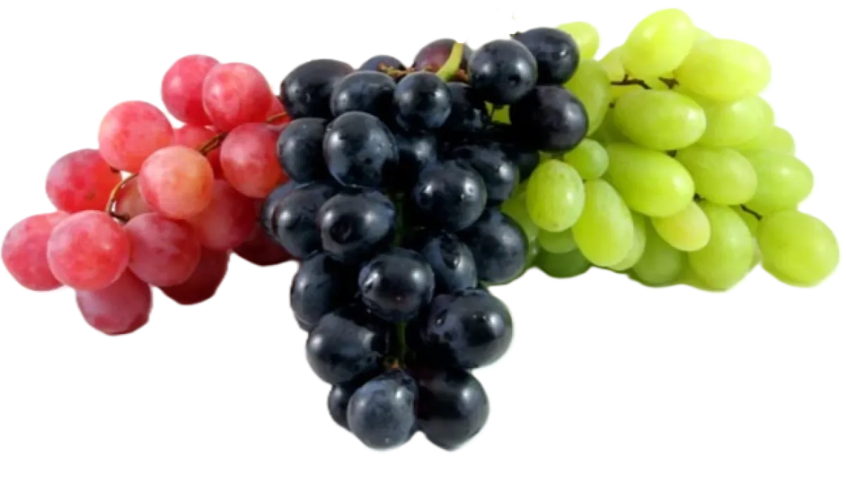Grapes