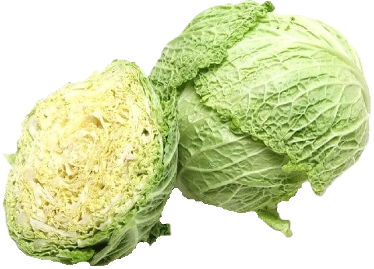 Savoy Cabbage
